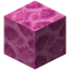 Brain Coral Block