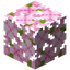 Вишнёвые листья
