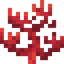 Fire Coral