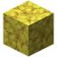 Horn Coral Block