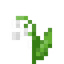 Ландыш