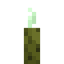 Sea Pickle