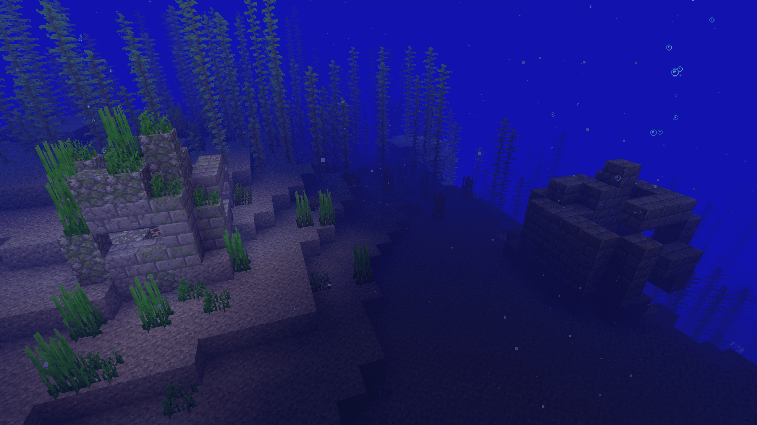 Water Ruins Minecraft